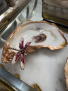 Oyster Ring Holder